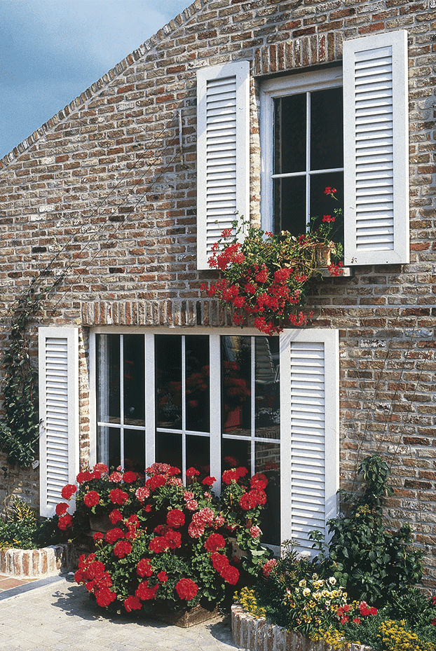 contraventanas blancas